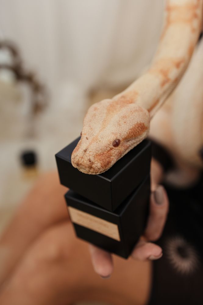 Photograph by Татьяна Москаленко