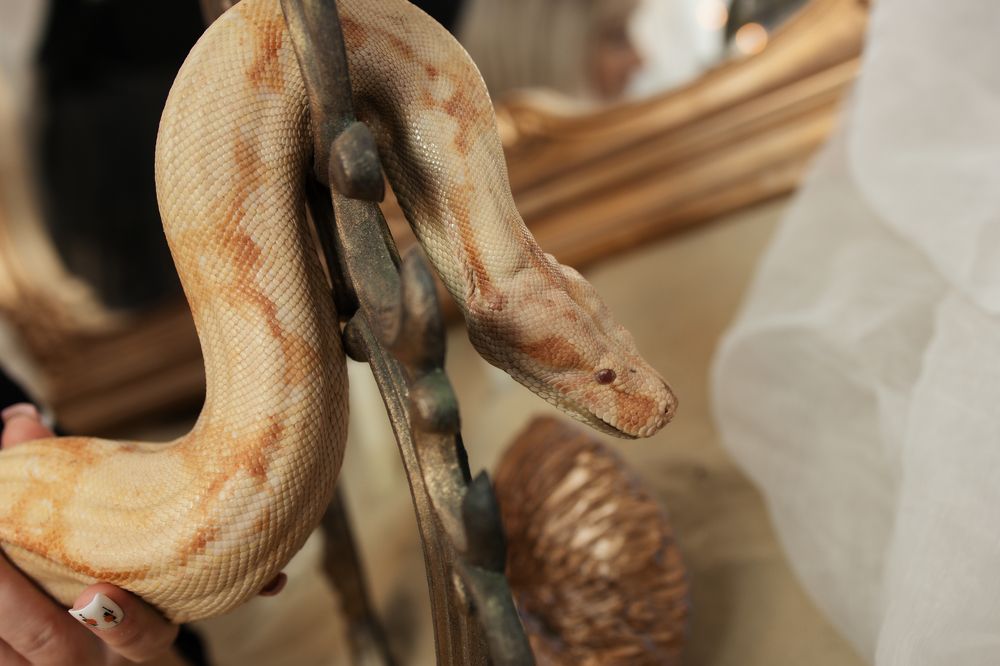 Photograph by Татьяна Москаленко