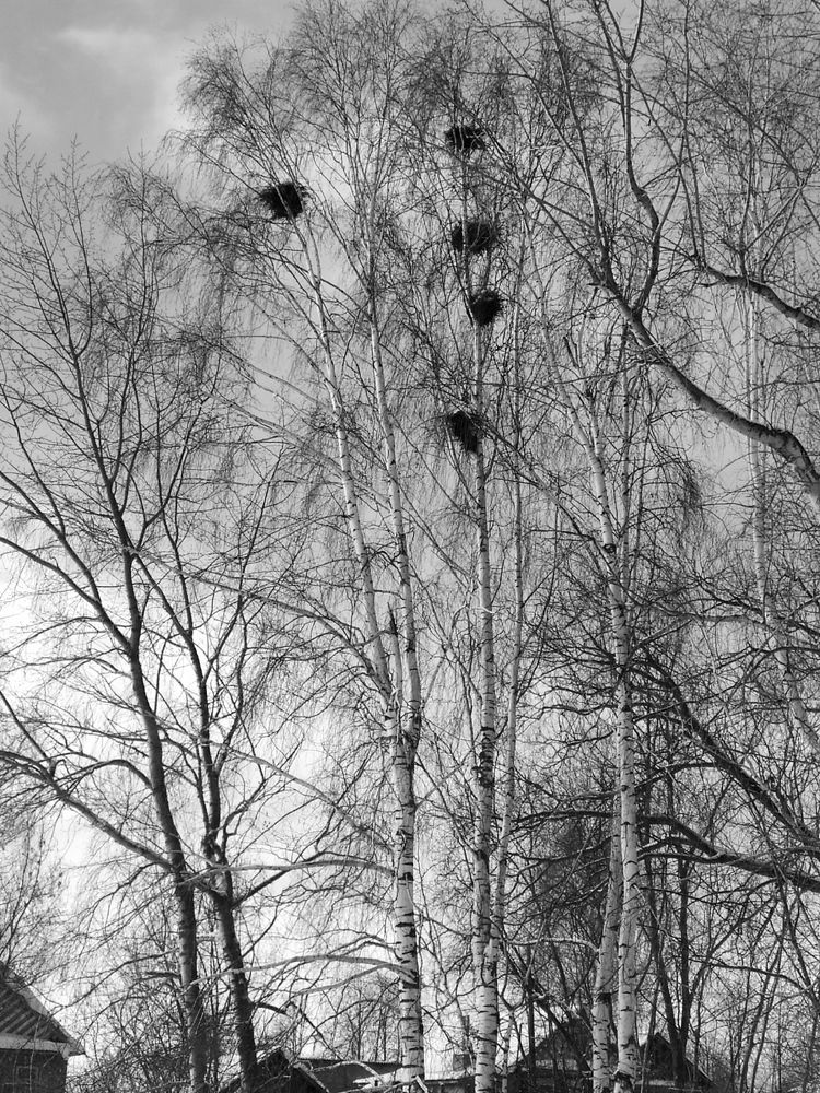 Photograph by Юрий Гордеев