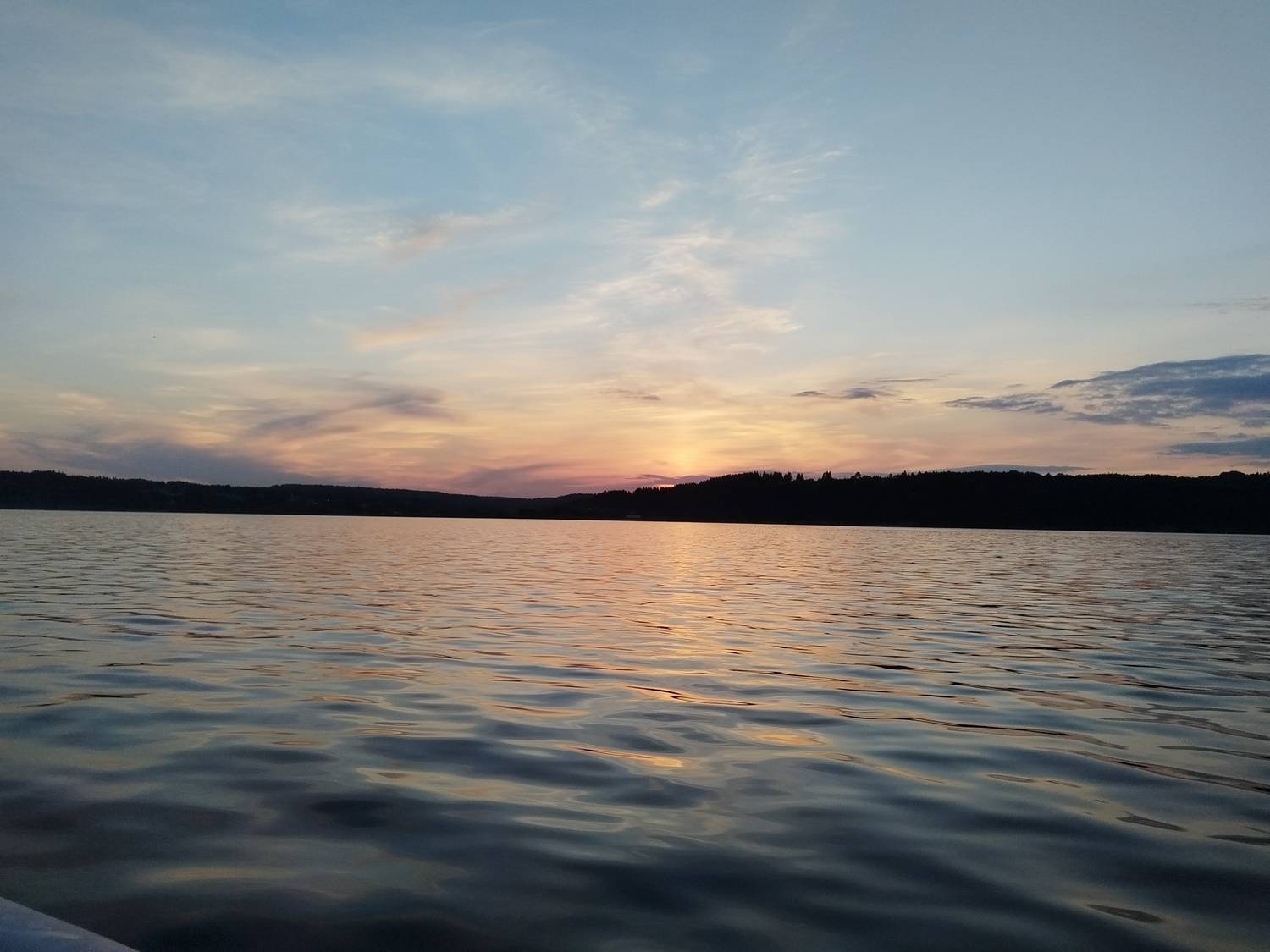 Photo #11587460