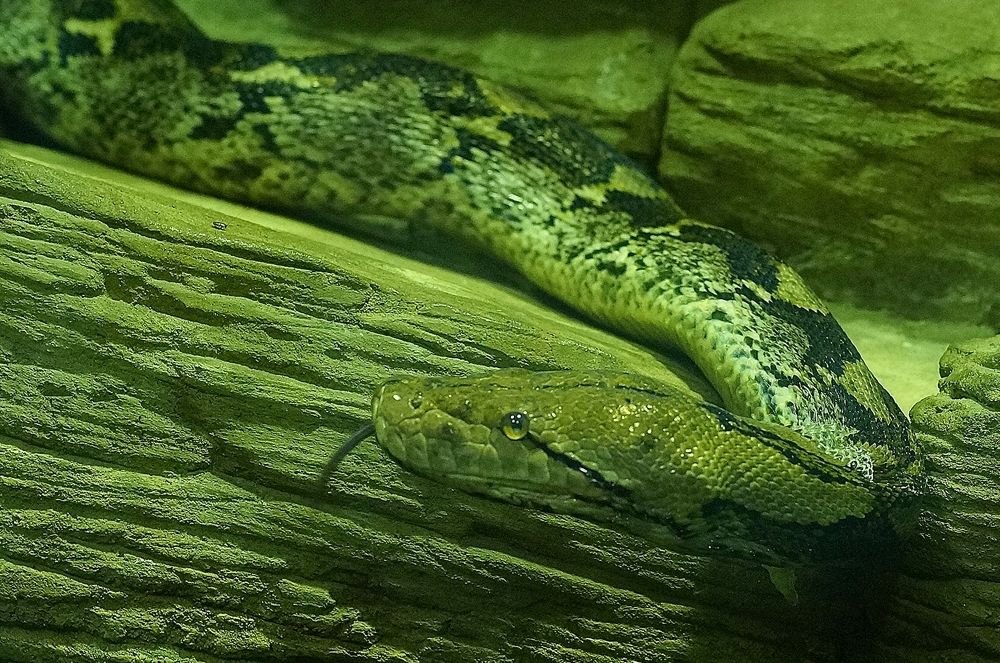 Photograph by Светлана Логинова