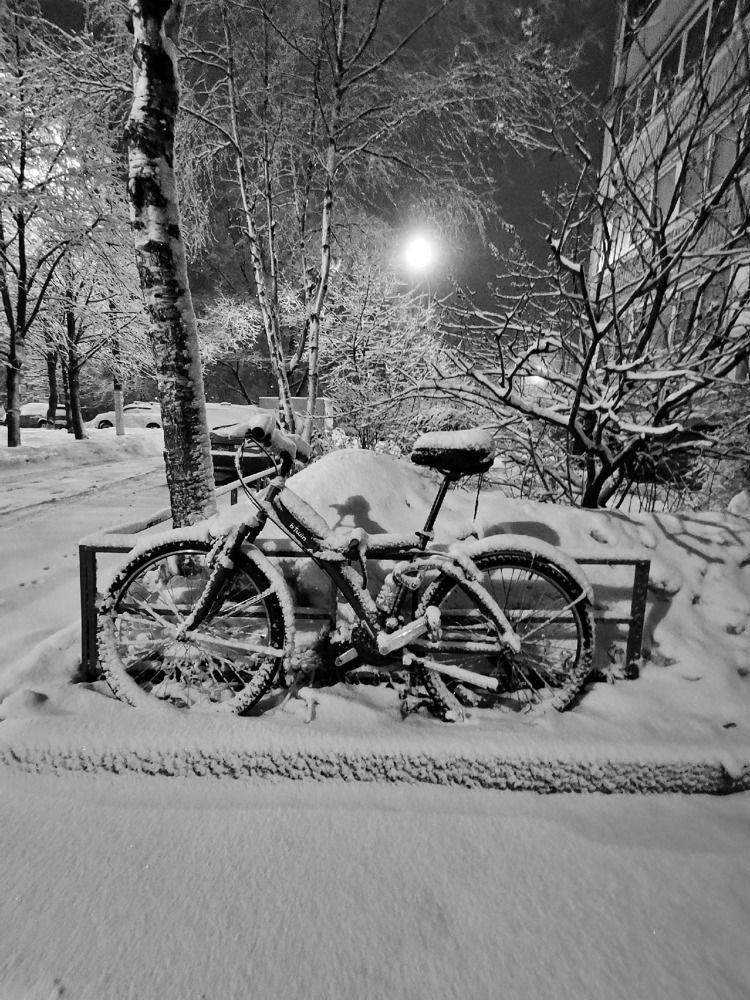 Photograph by Ольга Лукина