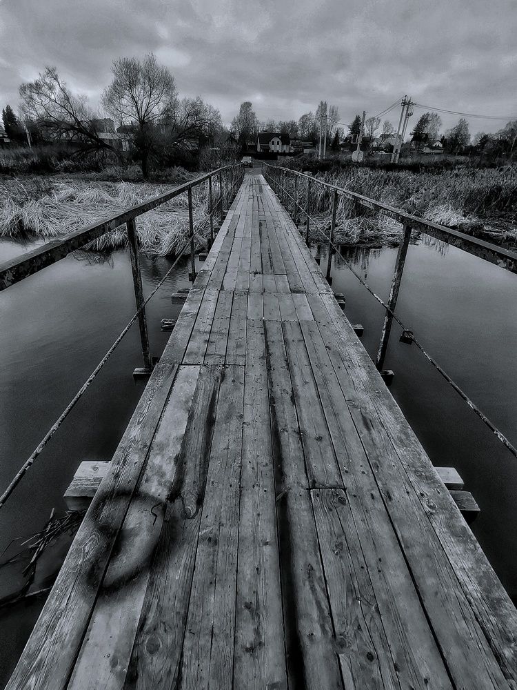 Photograph by Ольга Лукина