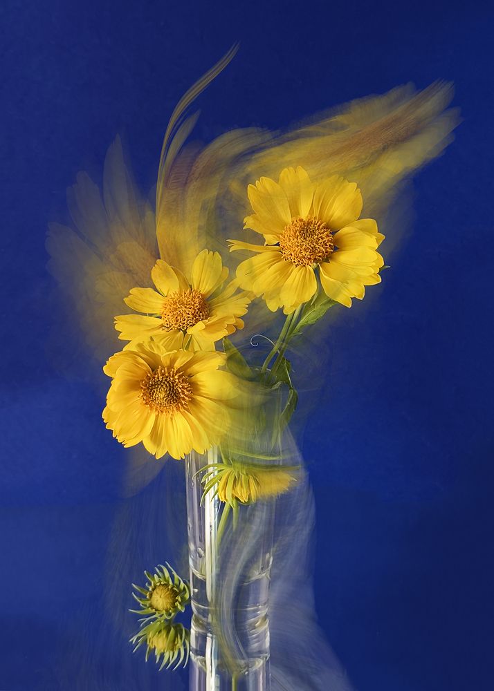 Закружило...