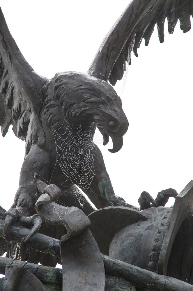 Сейчас или никогда.