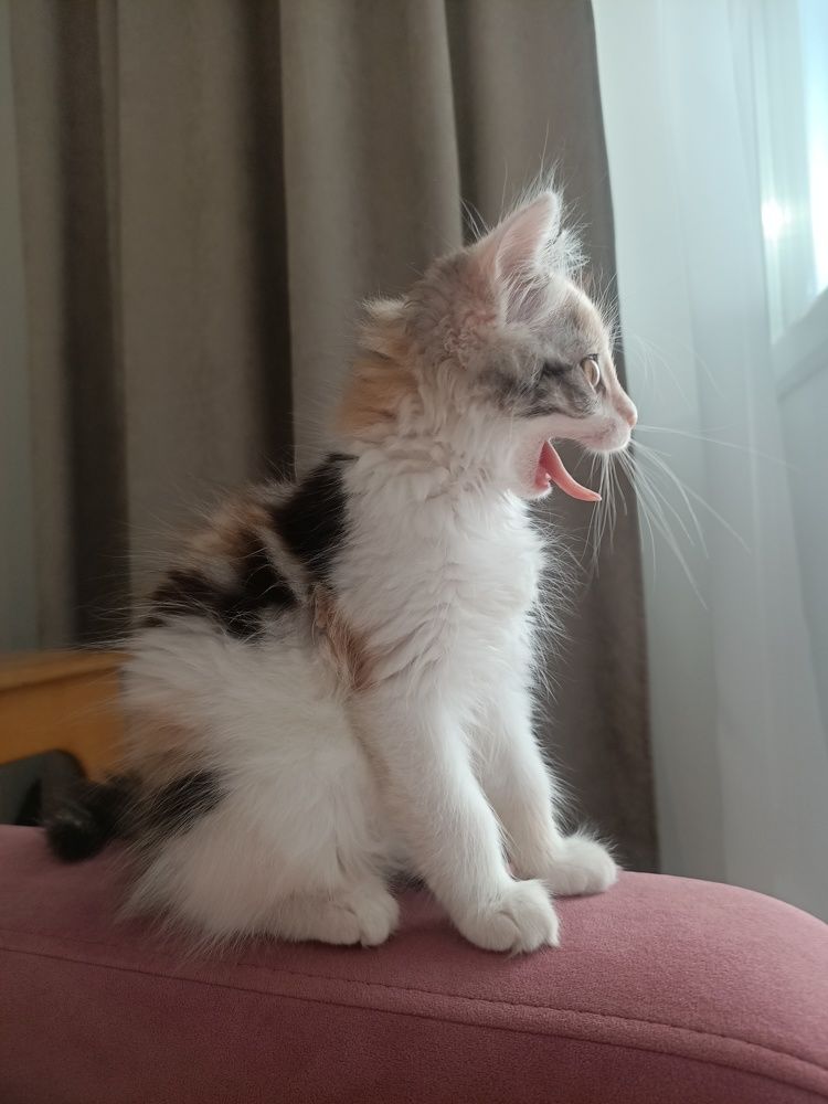 Photograph by Татьяна Братусь