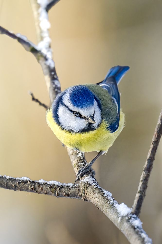 Photograph by Aleksandr Solovev