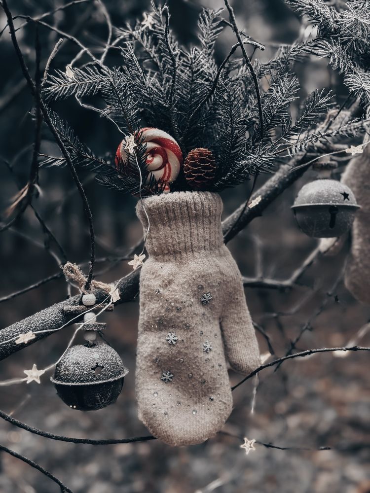 Photograph by Юлия