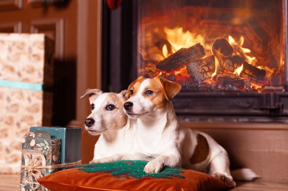 Photograph by Ольга