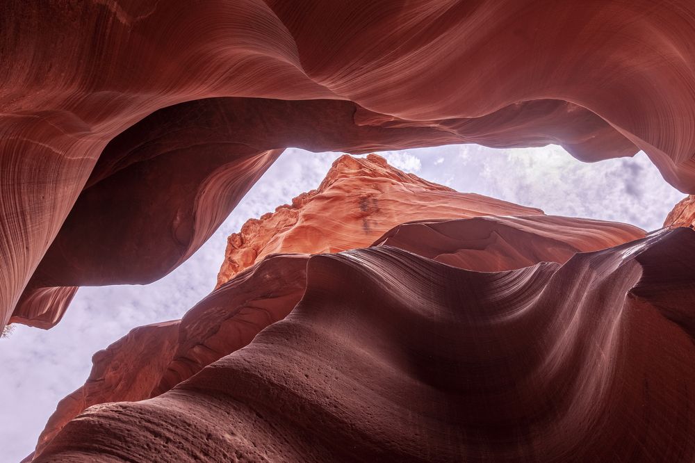 Фотография автора PIROUZ MOSHAVASH