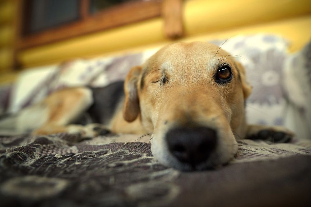 Photograph by Сергей Скоробогатов