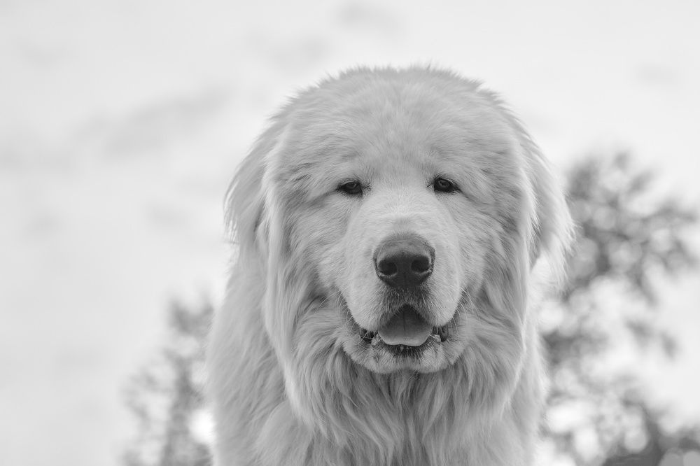 Photograph by Сергей Скоробогатов