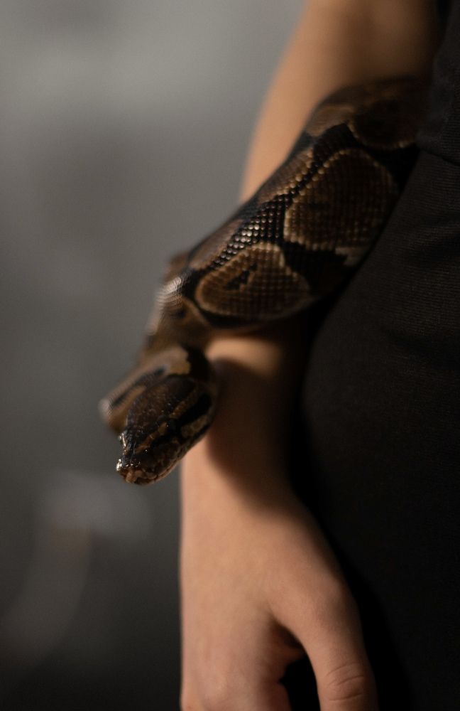 Photograph by Наталья Савельева