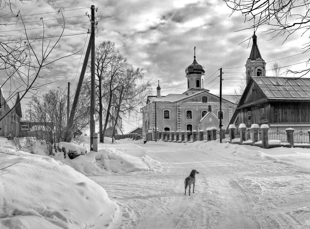Фотография автора Светлана Бакулина