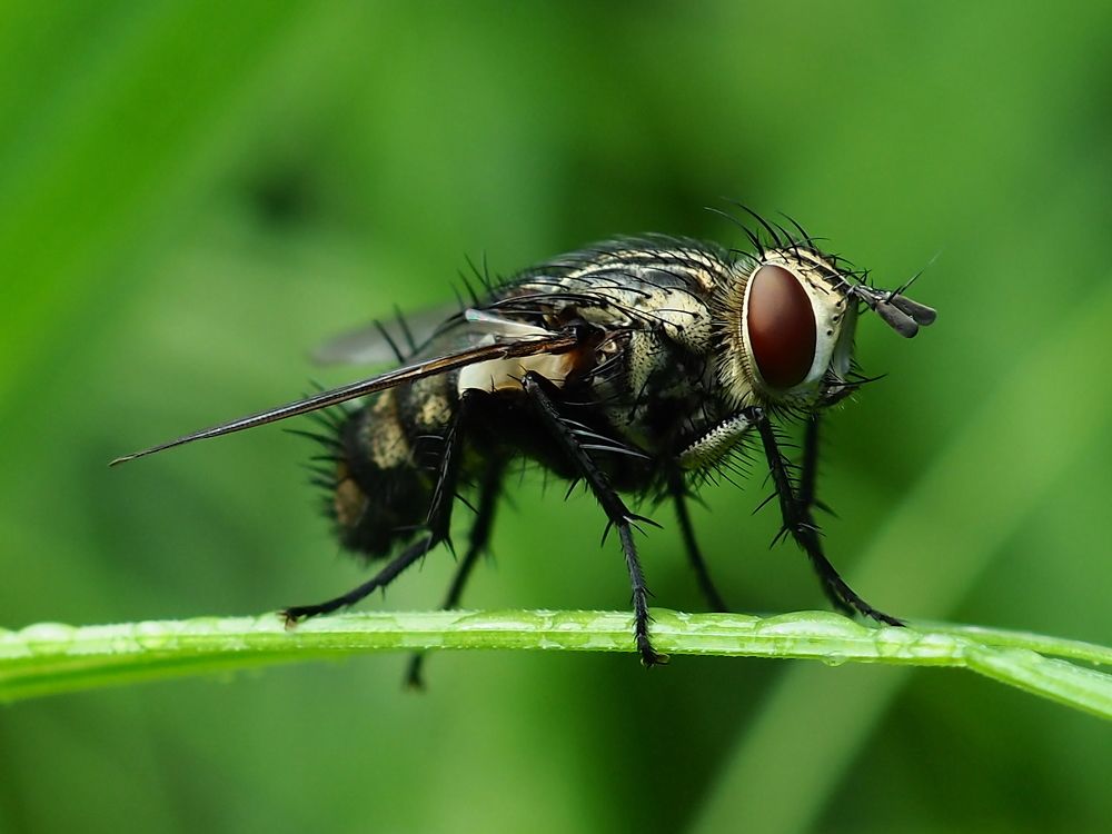 Photograph by Елена Харитонова