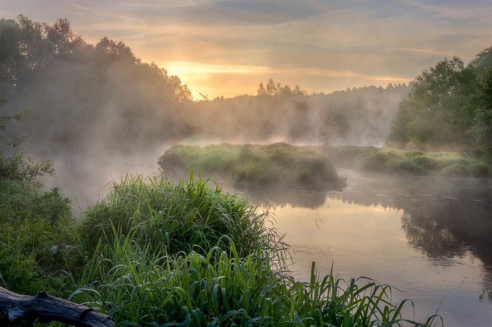 Фотография автора Сережа Сережин