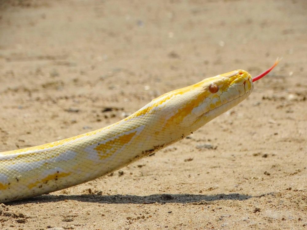 Photograph by Анжелика Трошина