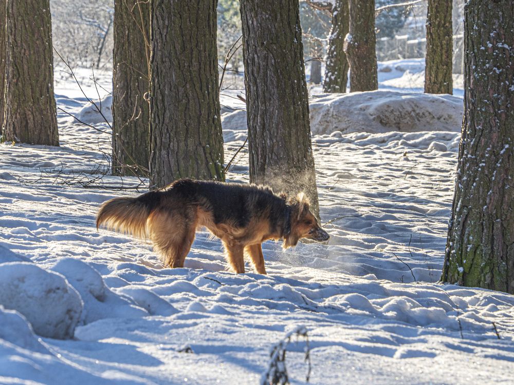 Photograph by Надежда Михайлина