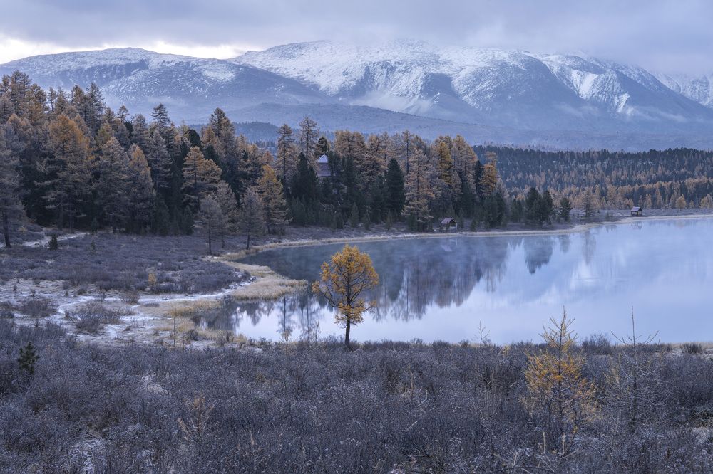 Фотография автора Галина Дейнекина