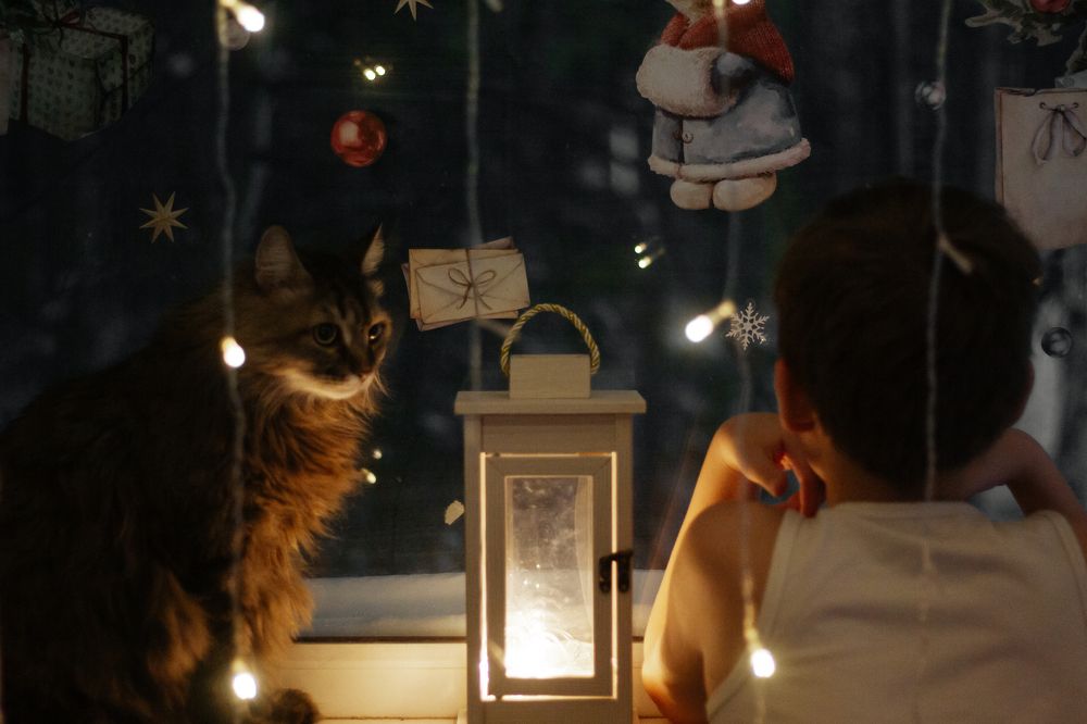 Photograph by Ольга Денисова