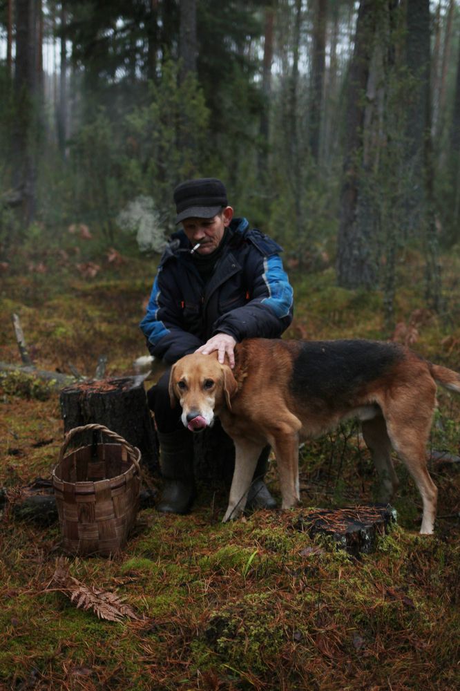Photograph by надежда максимова