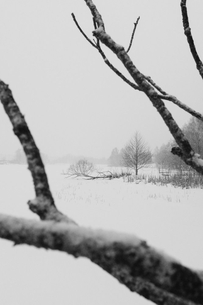 Photograph by Сергей Дивид