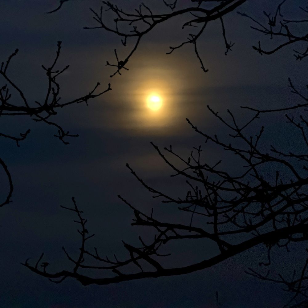 Photograph by Julia Grischenko