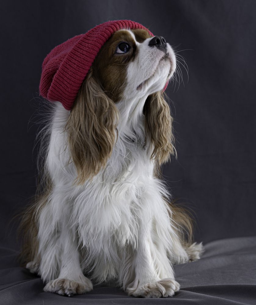 Photograph by Алла Логинова