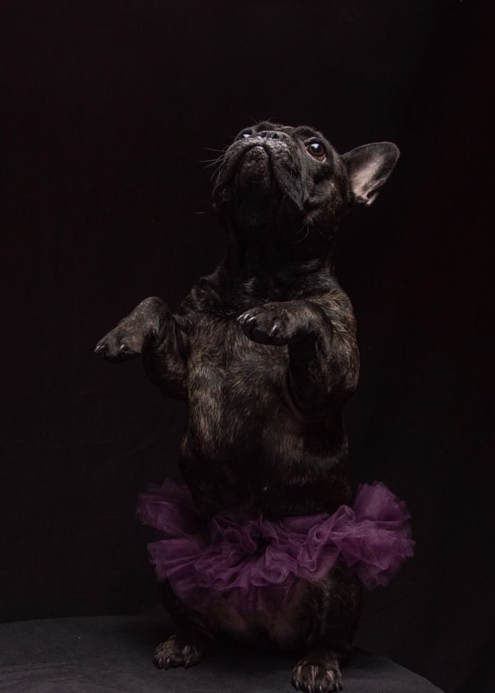 Photograph by Анна Васильева