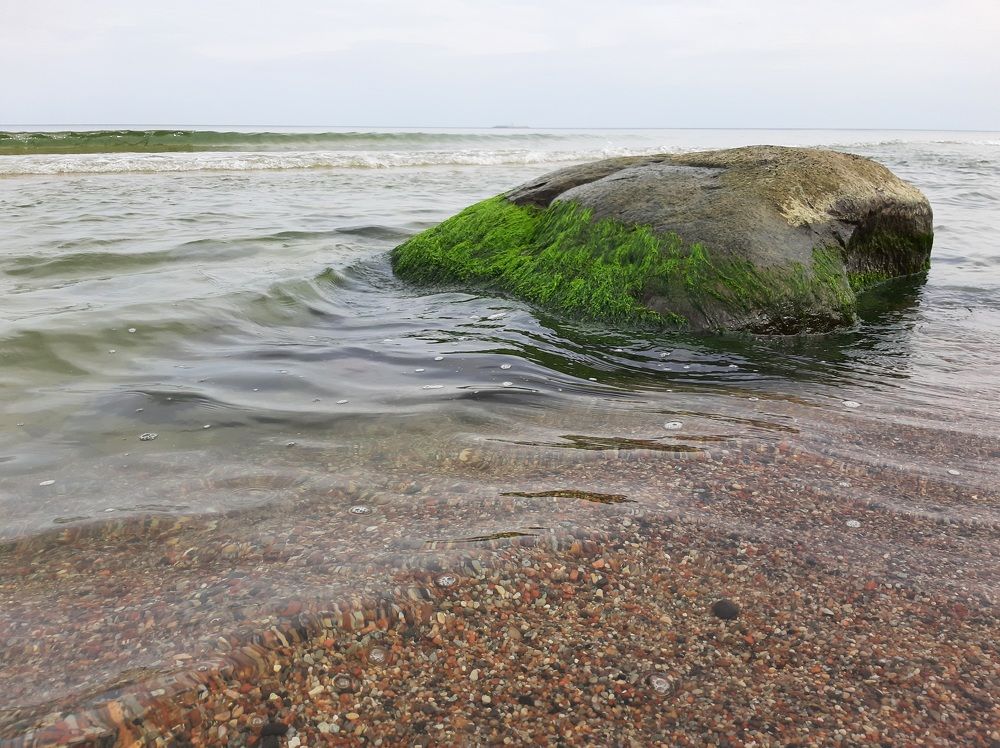 Photograph by Елизавета Иванова