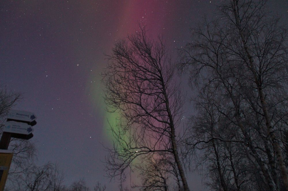 Фотография автора Светлана Терехова