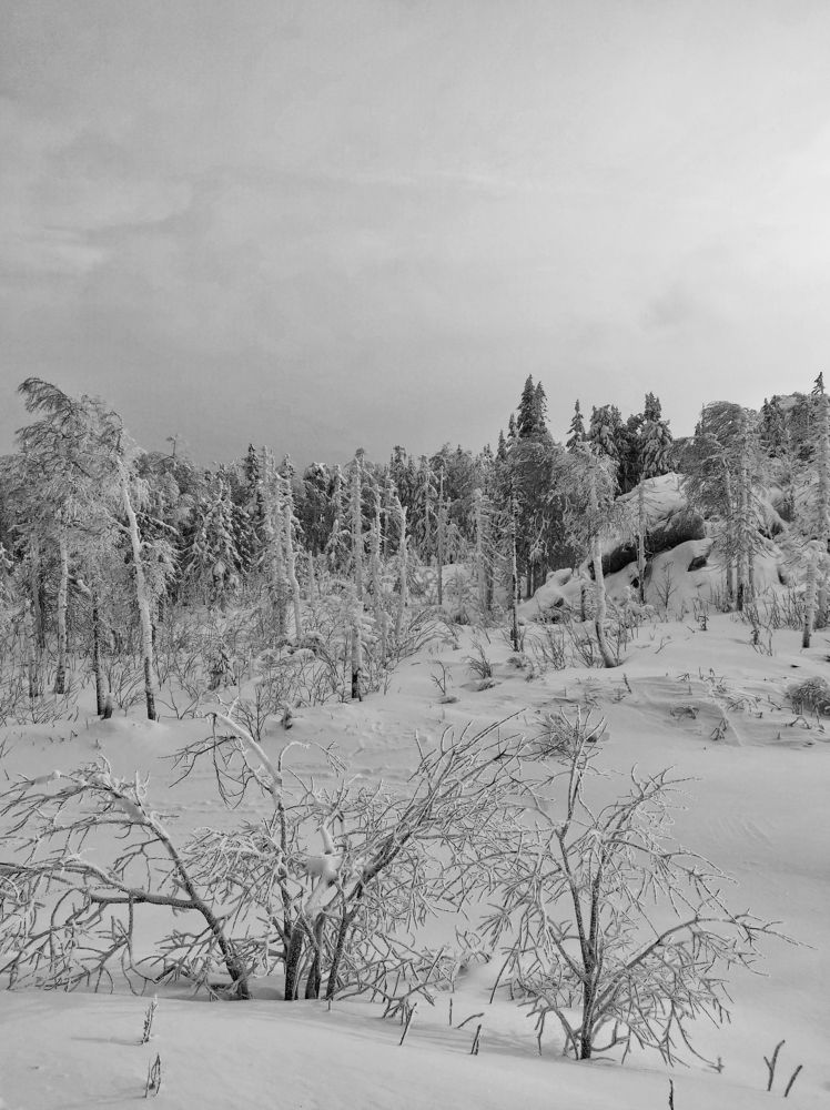 Photograph by Наталья Гущина