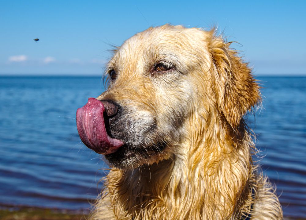 Photograph by Gennadiy Slezkin