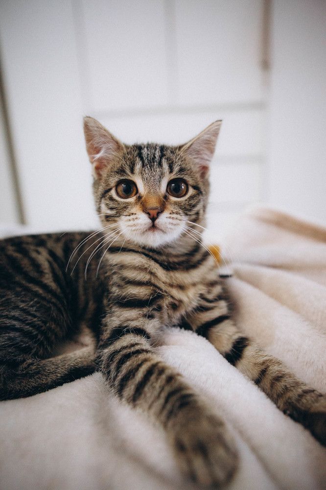 Photograph by Ольга Крукле