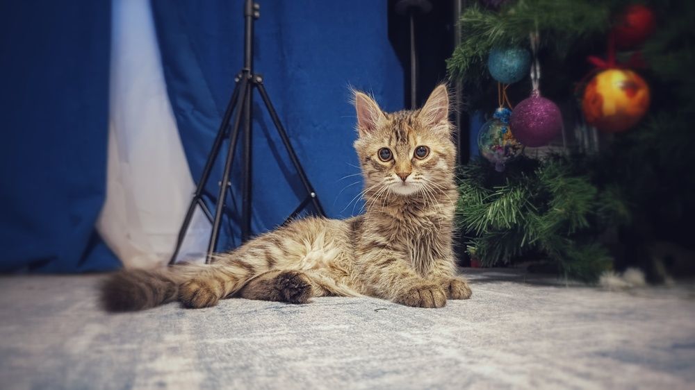 Photograph by Владимир Ковжаров