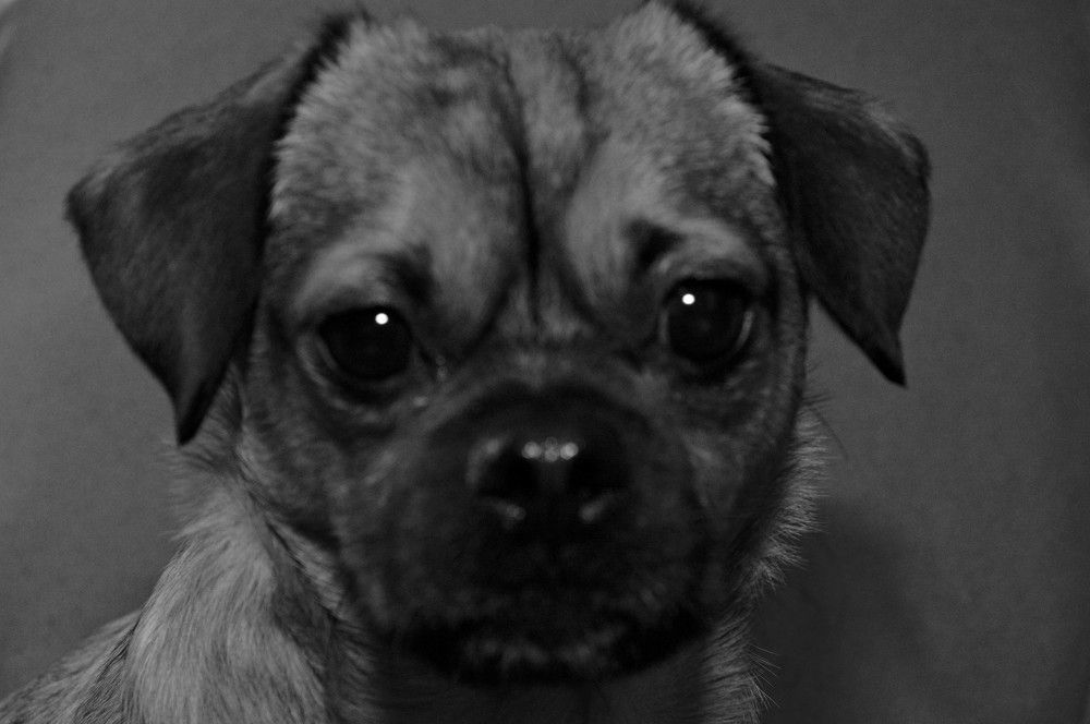 Photograph by Ольга Шевцова