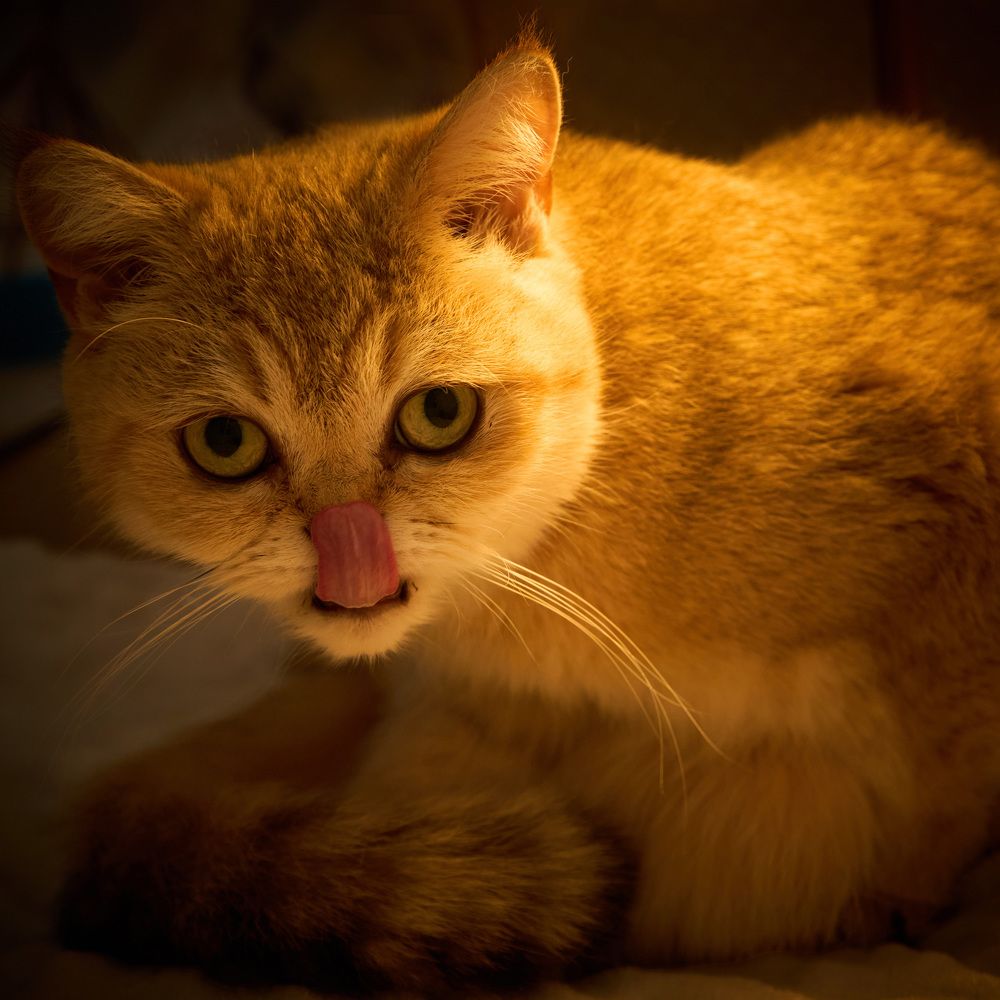 Photograph by Denys Zhytkevych