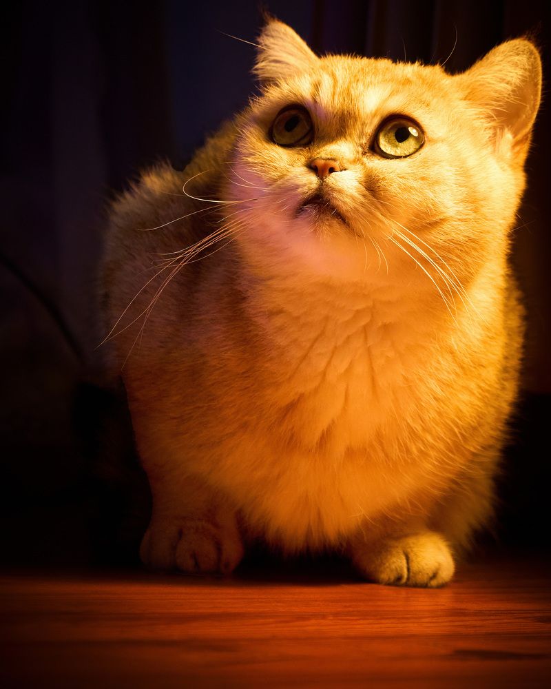 Photograph by Denys Zhytkevych