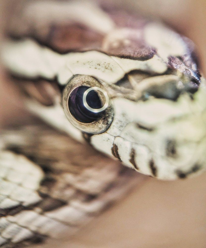 Photograph by Екатерина Колот