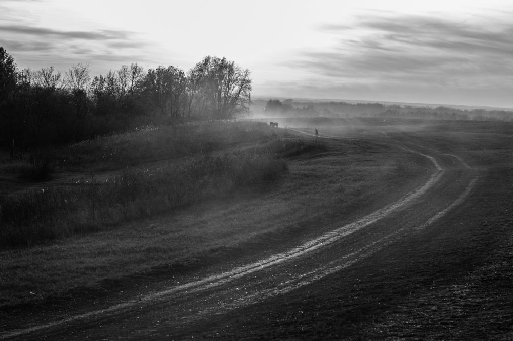 Фотография автора Дарья Рогозина