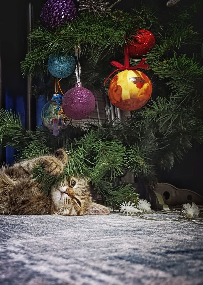 Photograph by Владимир Ковжаров