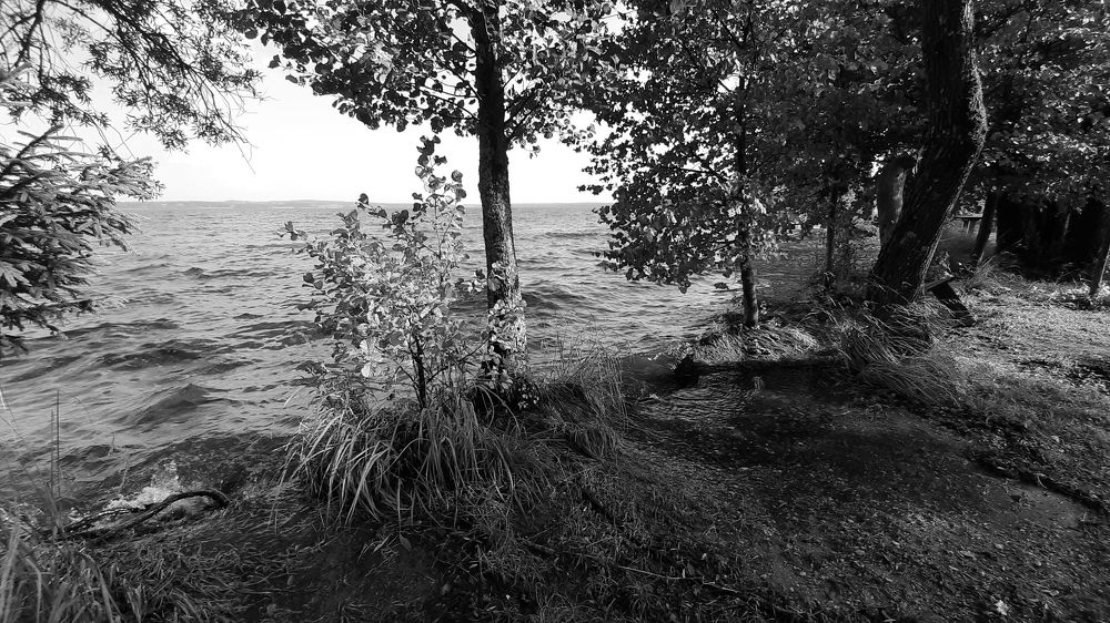 Photograph by Елизавета Иванова