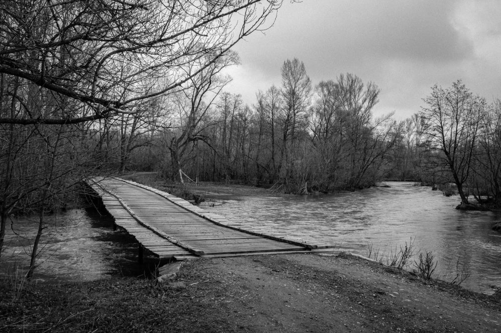 Фотография автора Дарья Рогозина
