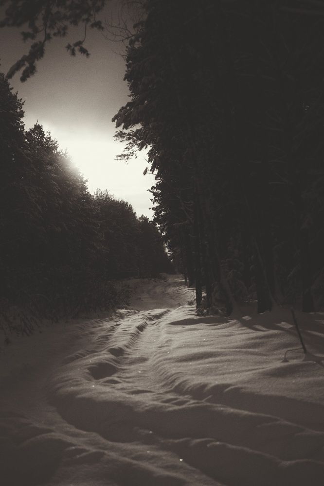 Photograph by Екатерина Колот