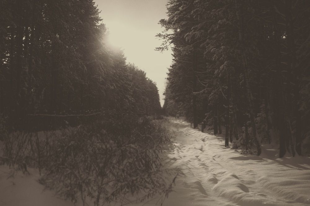 Photograph by Екатерина Колот