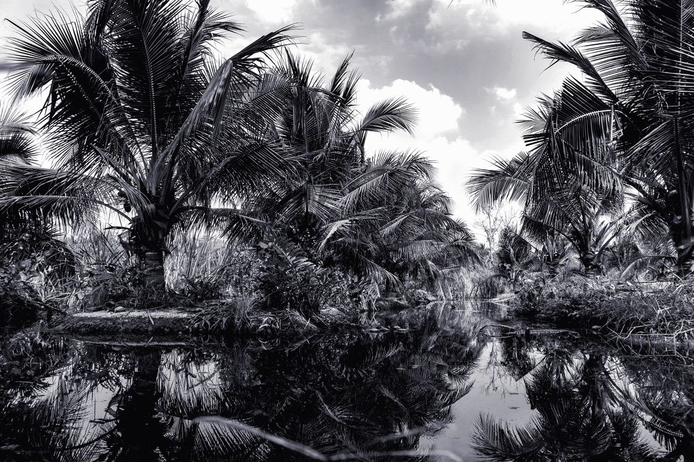 Photograph by Дмитрий Кулемин