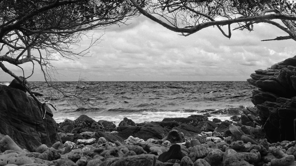 Photograph by Дмитрий Кулемин