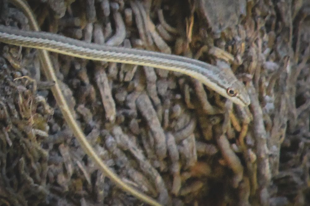 Photograph by Waleed Yousuf Alwahaibi