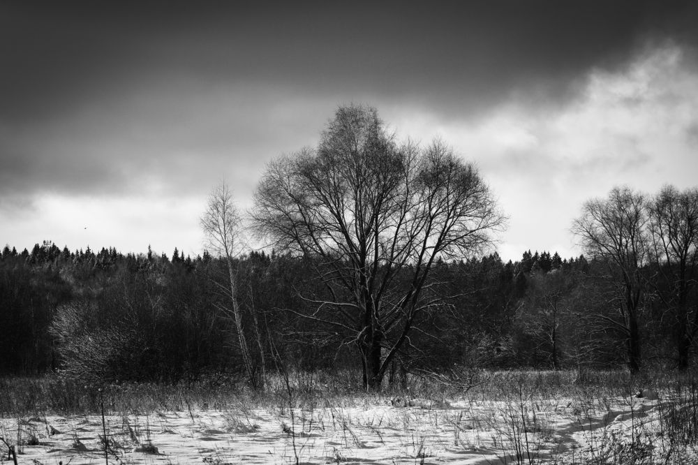 Photograph by Сергей Слукин