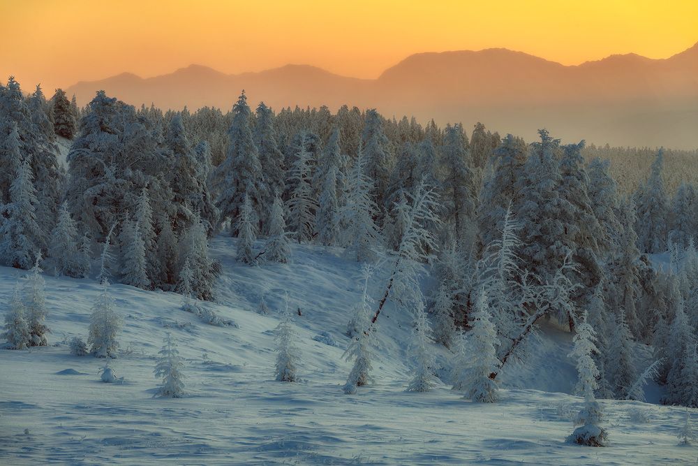 Photograph by Сергей Карпухин